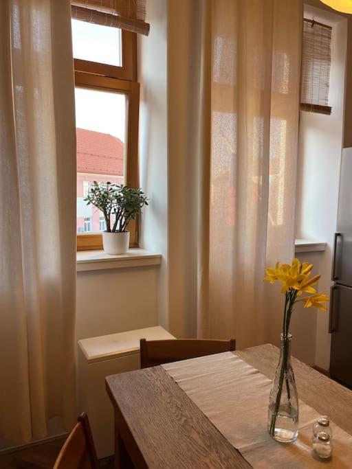 Apartman Pod Valdickou Branou Jičín Kültér fotó